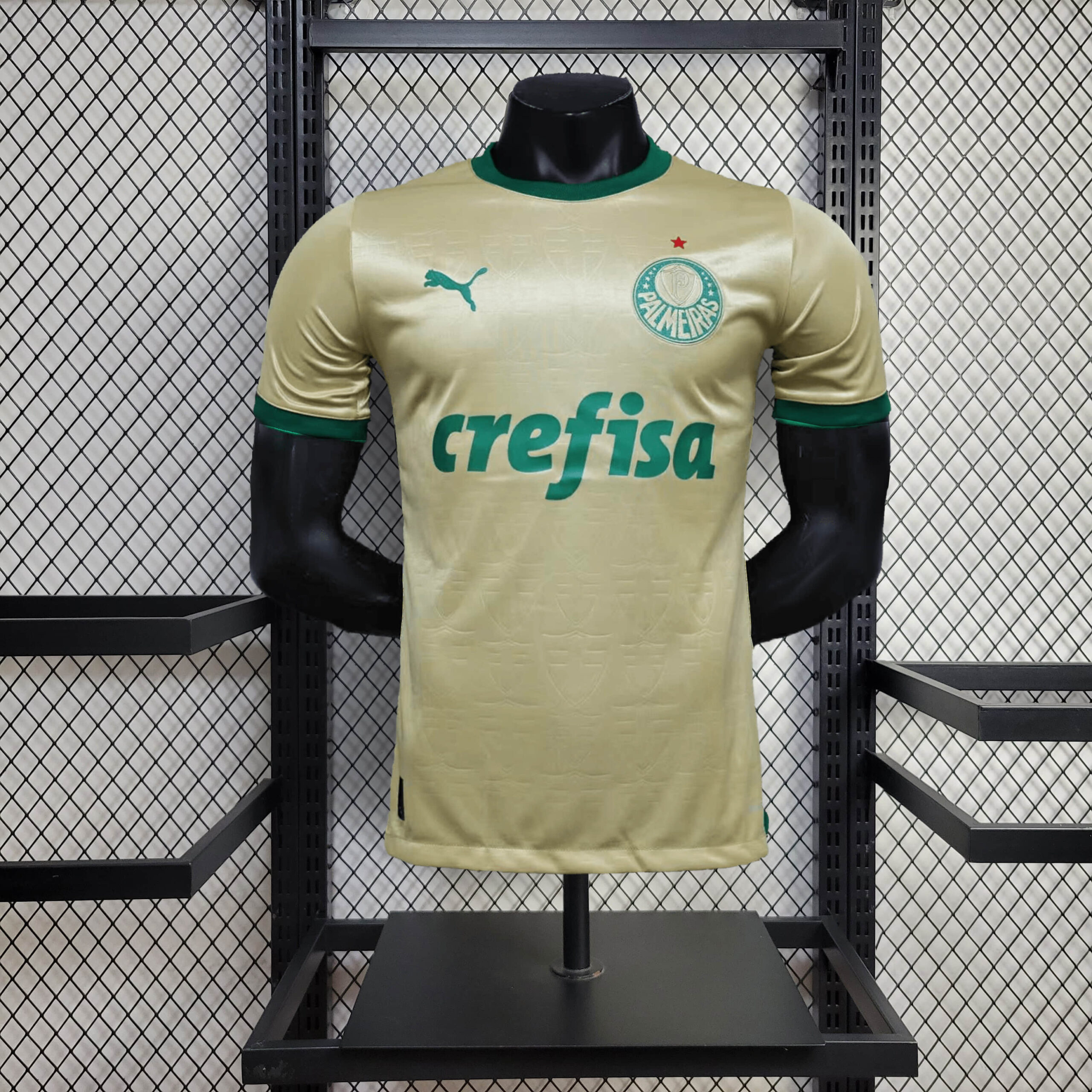 17f1976f337421c7ba3f05204672b4c9.jpg 2024/2025 Player Version Palmeiras Third Away Football Shirt 1:1 Thai Quality - Image 1