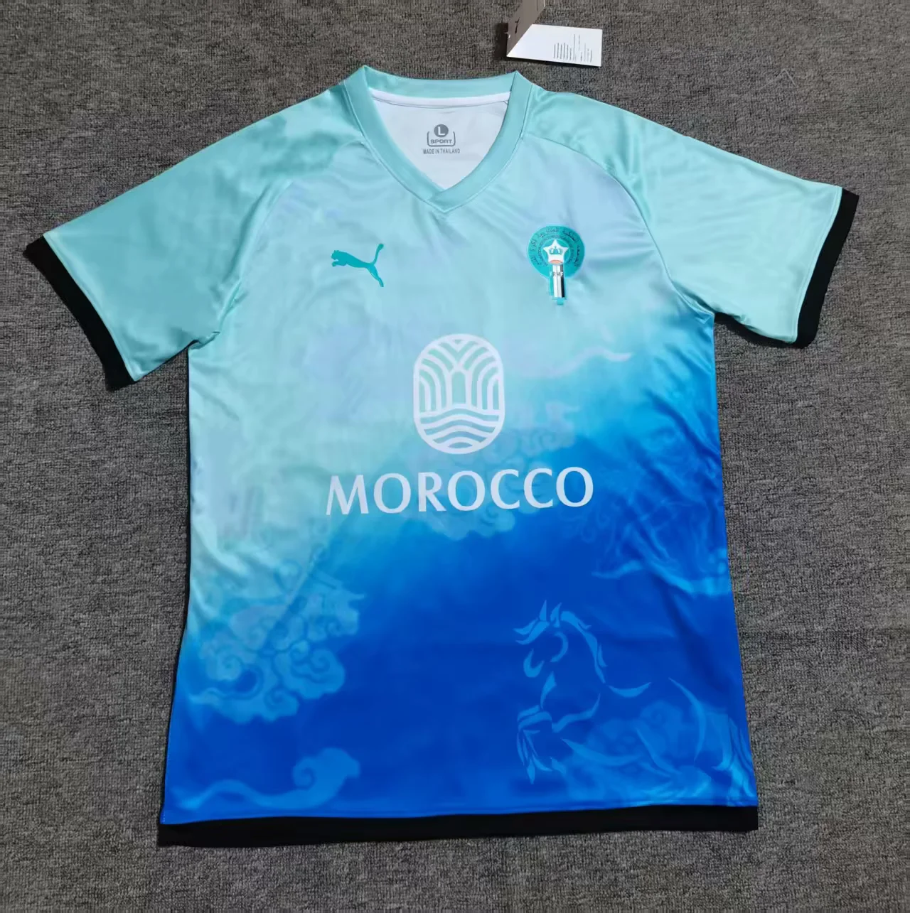 4456fcf6575b8a722b3441f35c19e193.webp 2025 Morocco Special Edition Football Shirt 1:1 Thai Quality - Image 1