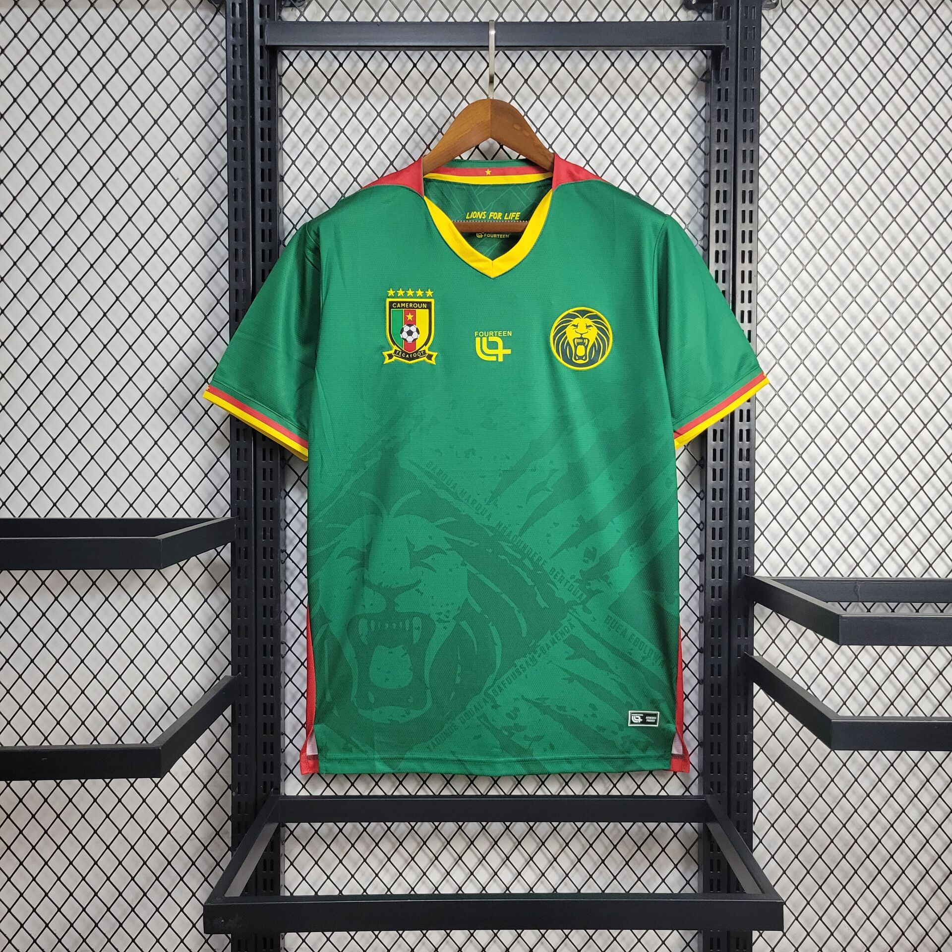 9c991e3a5cae14f04c8e61a7636f589e.jpg 2025 Cameroon Home Football Shirt 1:1 Thai Quality - Image 1